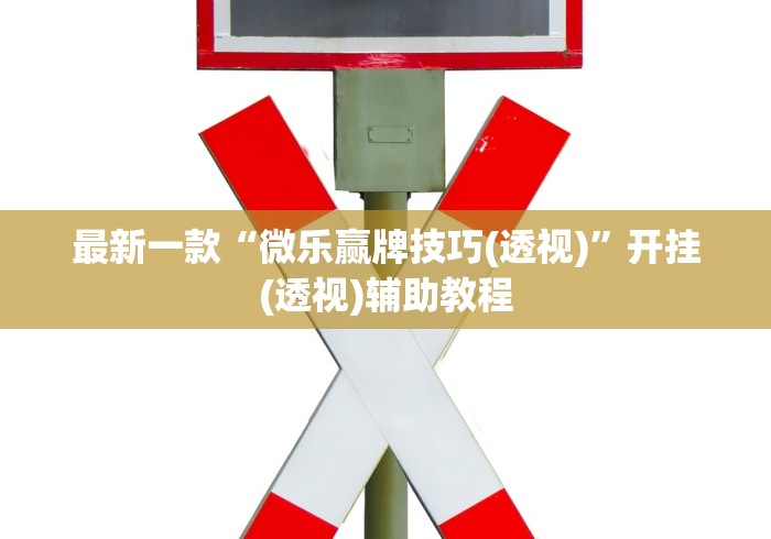 最新一款“微乐赢牌技巧(透视)”开挂(透视)辅助教程