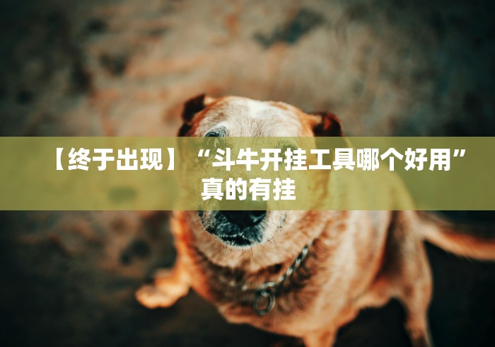 【终于出现】“斗牛开挂工具哪个好用	”真的有挂