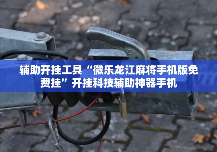 辅助开挂工具“微乐龙江麻将手机版免费挂”开挂科技辅助神器手机