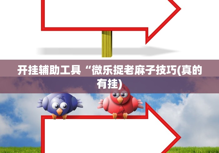 开挂辅助工具“微乐捉老麻子技巧(真的有挂)